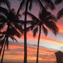 Full of Love (feat. Rash Bone,SHRIMP NERD)