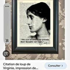 Woods Of Triggers_live_06 24