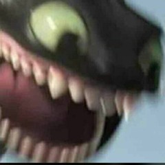 THE DRAGON??