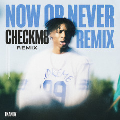 NOW OR NEVER - TKANDZ (CHECKM8 REMIX) (FREE DL)