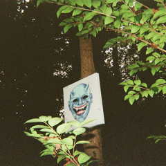 THE IMAGE OF YOU