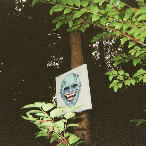 THE IMAGE OF YOU