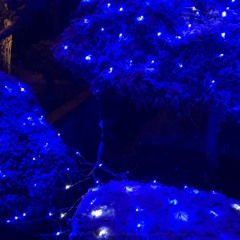 Me And A Tree         - demo