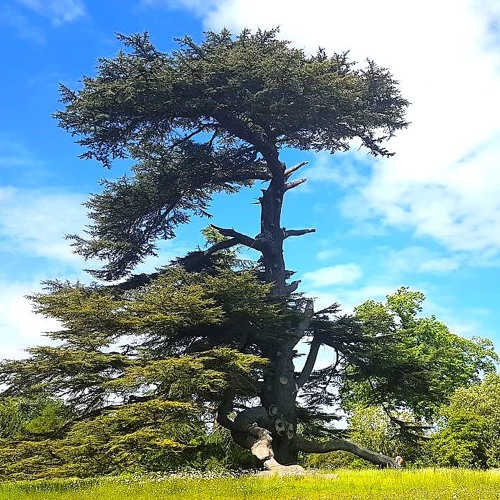 We stick at things we like doing