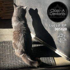 The Birds (Original Mix)