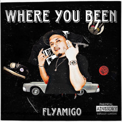 Whereyoubeen - FlyAmigo