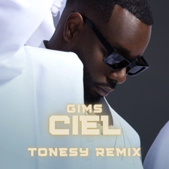 Gims - CIEL (Tonesy Techno Remix)