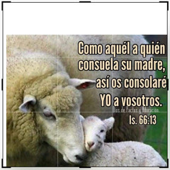 The Lord Is My Shepherd Forever- 1170 🌱🌹🌺-Jehová Es Mi Pastor Para Siempre-Himno 248 🌺🎻🎶🌱