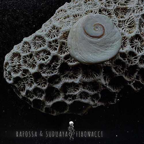 Rapossa, Suduaya - Fibonacci (Original mix)