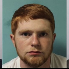 Ginge - Oso Rude #CustomHouse