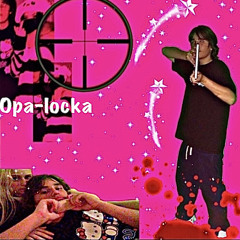 opa locka