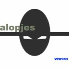 Salopjes