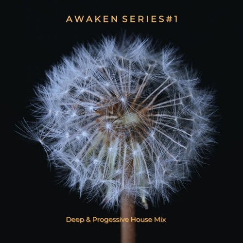 AWAKEN SERIES #1 - Deep & Progressive House Mix