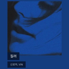 신료하, VIN - 질려