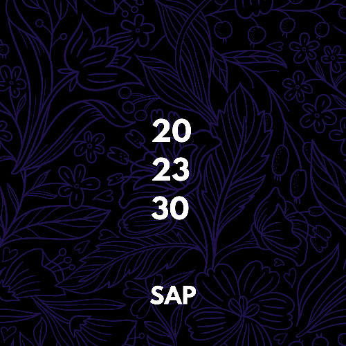 SAP | 19 julio Under Club