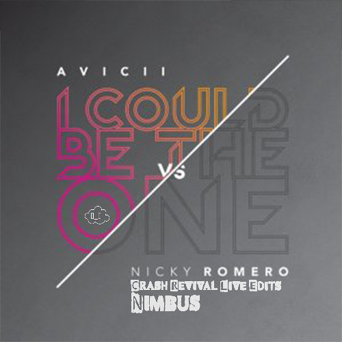 I Could Be The One Remix