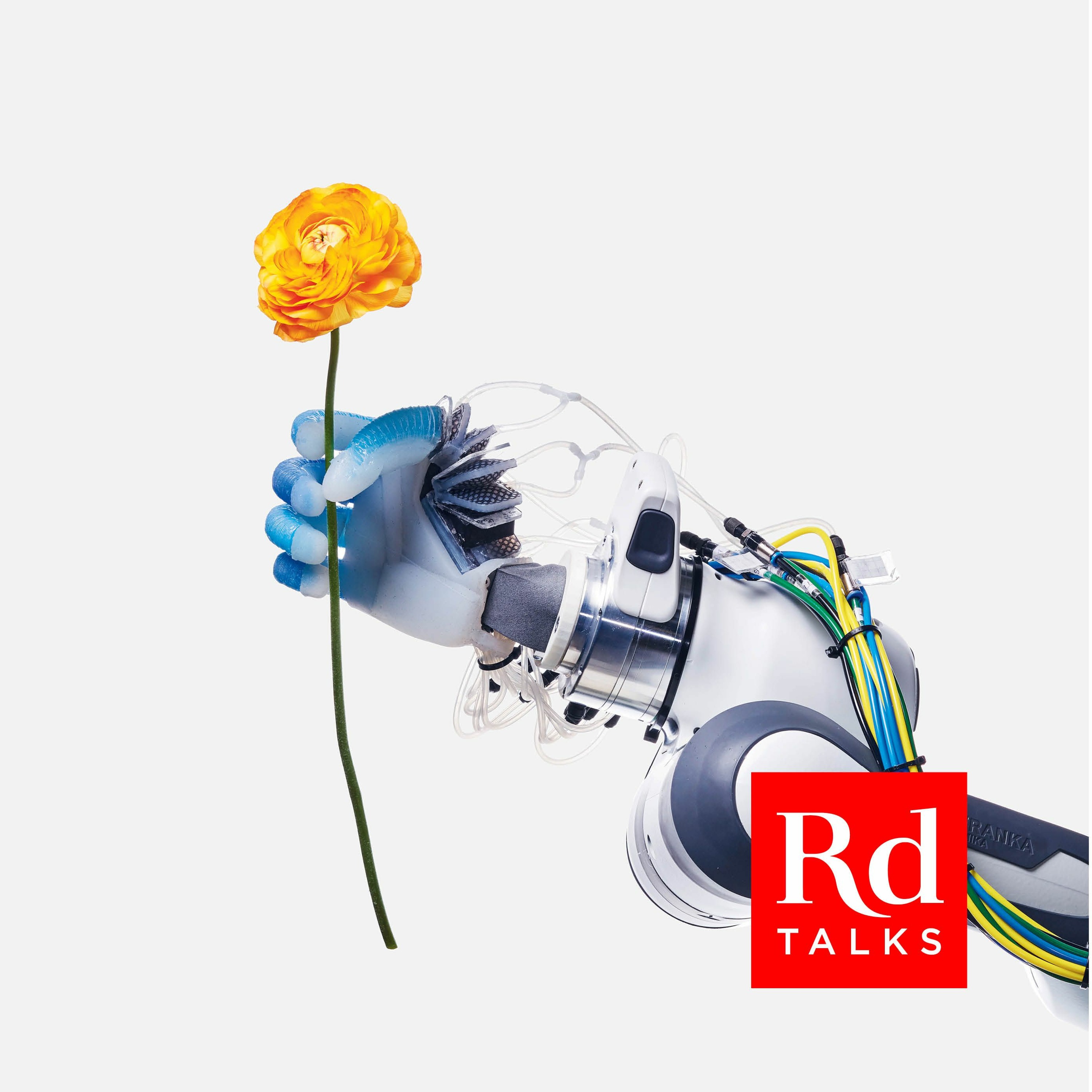 RD Talks