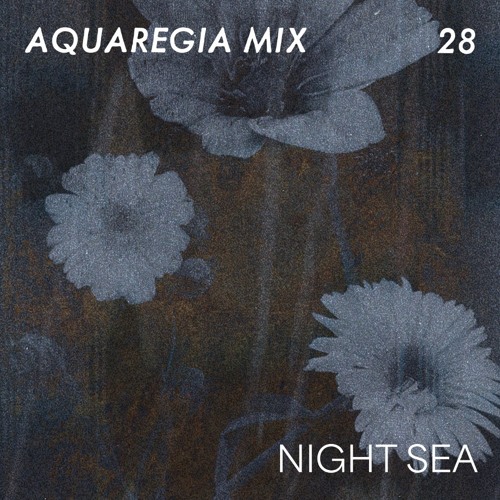 Aquaregia Mix 28: Night Sea