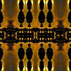 Psycheta Tenrecsol