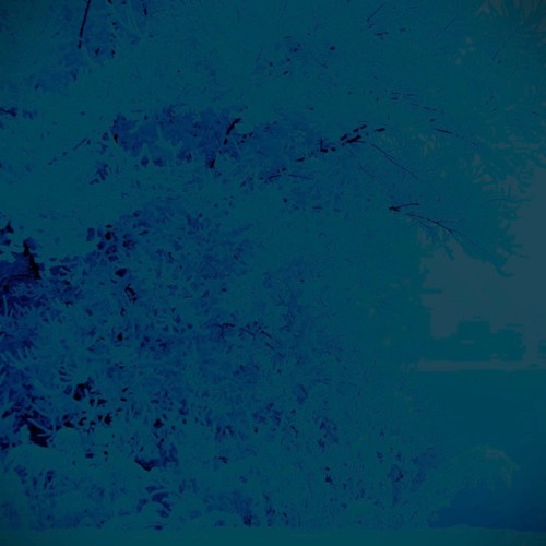 The last winter - L'ultimo, lungo, inverno