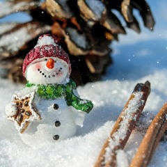 Snowman Cover