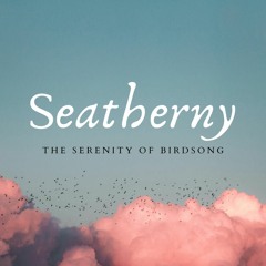 Seatherny