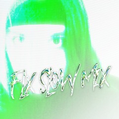 FLX SLOW MIX