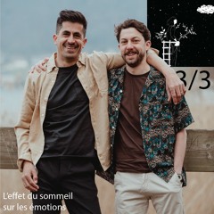 Carnets de voyage: sommeil et émotions