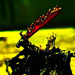 ZYR JIIM // Warhammer 420,000 (Bongblast Chronicles II)