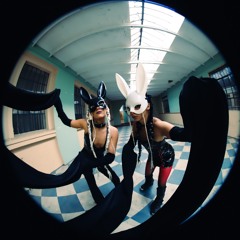 TURBO BUNNIES