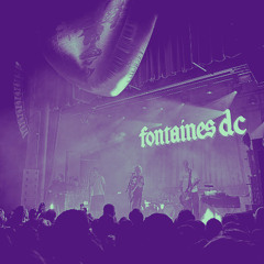 Starburster - Fontaines D.C. (Lorisaurusflex Breakbeat Edit)