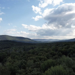 Affirm : Catskills NY