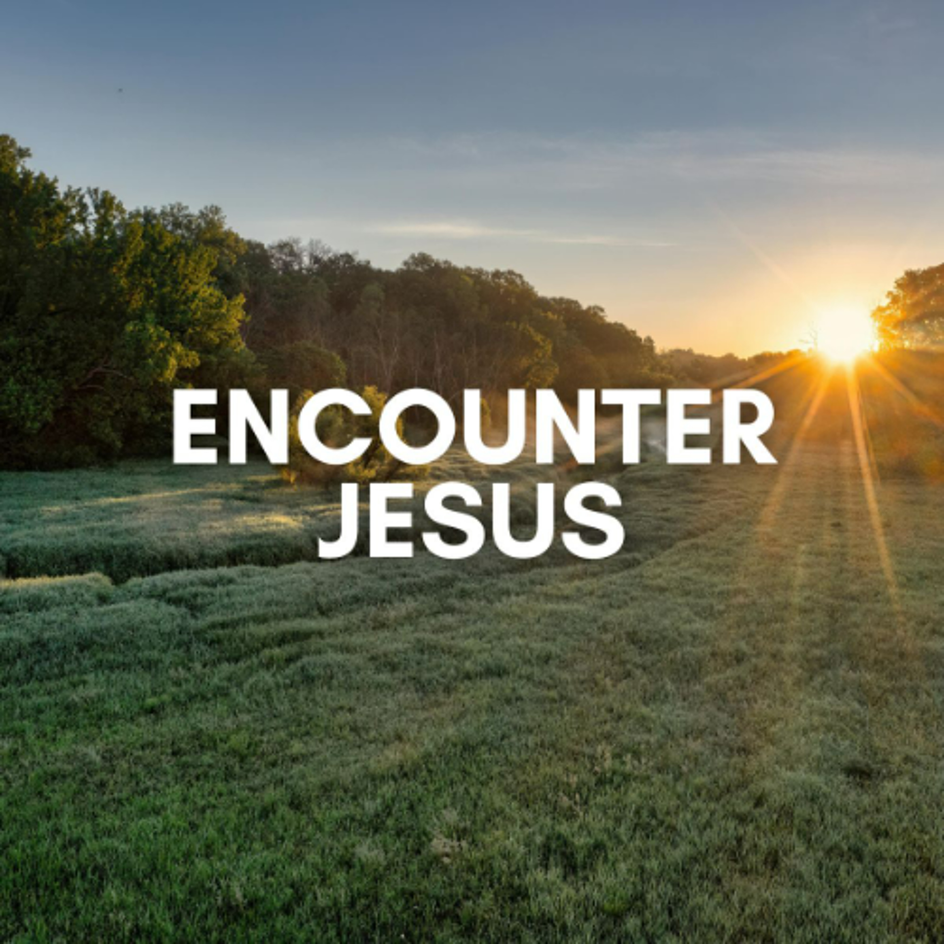 Encounter Jesus_ The Bread episode artwork