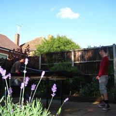 Lavender