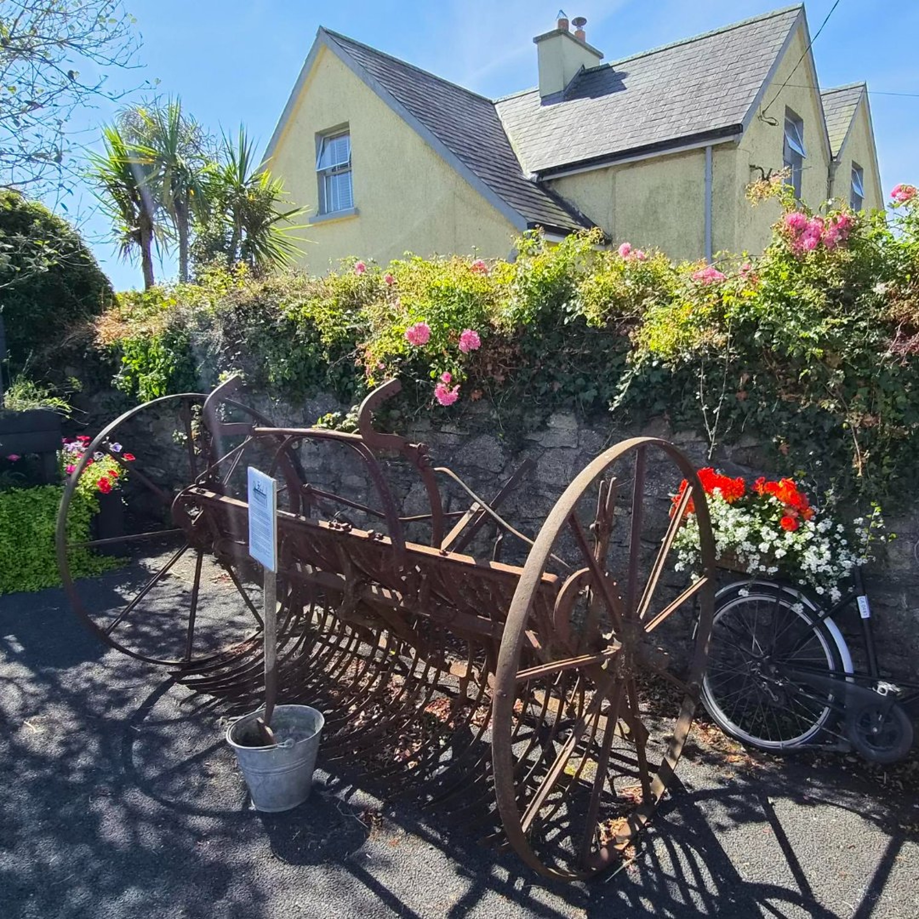 Between Towns And Villages: Tullahought Tidy Towns (31st August 2026) episode artwork