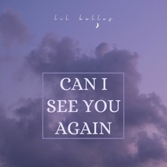 Can I See You Again