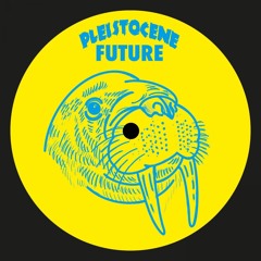 Dynamic Forces - Holding Out [Pleistocene Future Records]