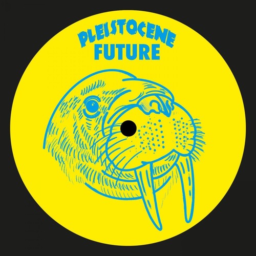 Dynamic Forces - Holding Out [Pleistocene Future Records]
