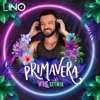 Primavera (Vic Folia Set Mix) DJ mix artwork - Electronic music tracklist cover image