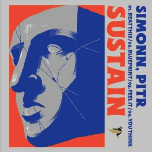 Premiere : SIMONN & PITR - You Think (SUS026)