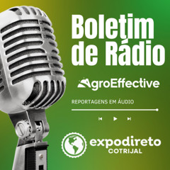 Especialista alerta que agro brasileiro deve conhecer melhor o mercado chinês
