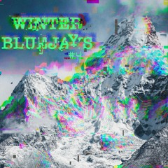 Winter Bluejays Vol. 4