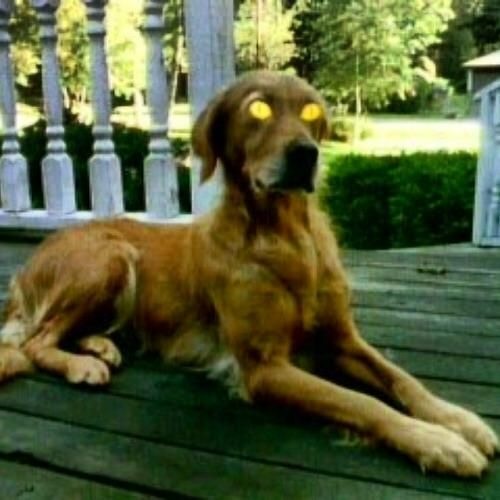 I Get Those Goosebumps Everytime (yeah) - (EDIT)