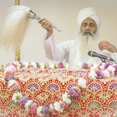 Ragi Baldev Singh ji