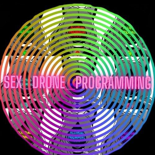 SEX_DRONE_PROGRAMMING