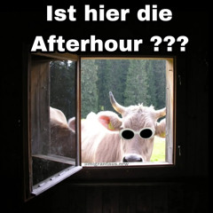 H4RRY P4TTERN / jeklatsche