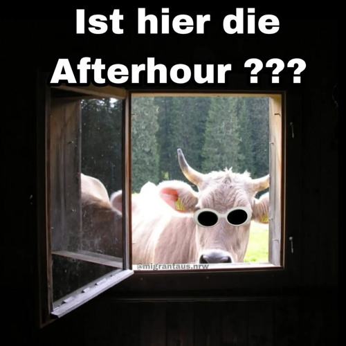 H4RRY P4TTERN / jeklatsche