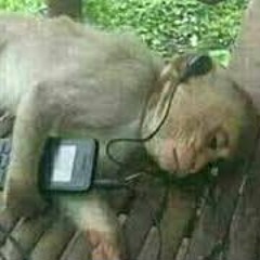 hold them tears in XD