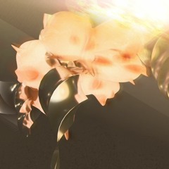 fm demonic // radioweb