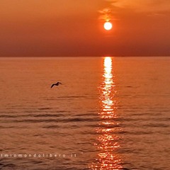 SK in the Sunset